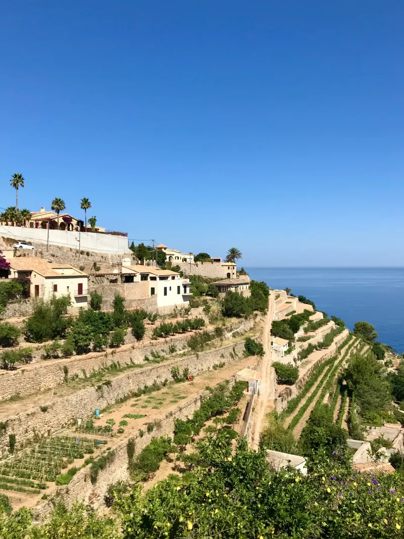 Mallorca Scenery